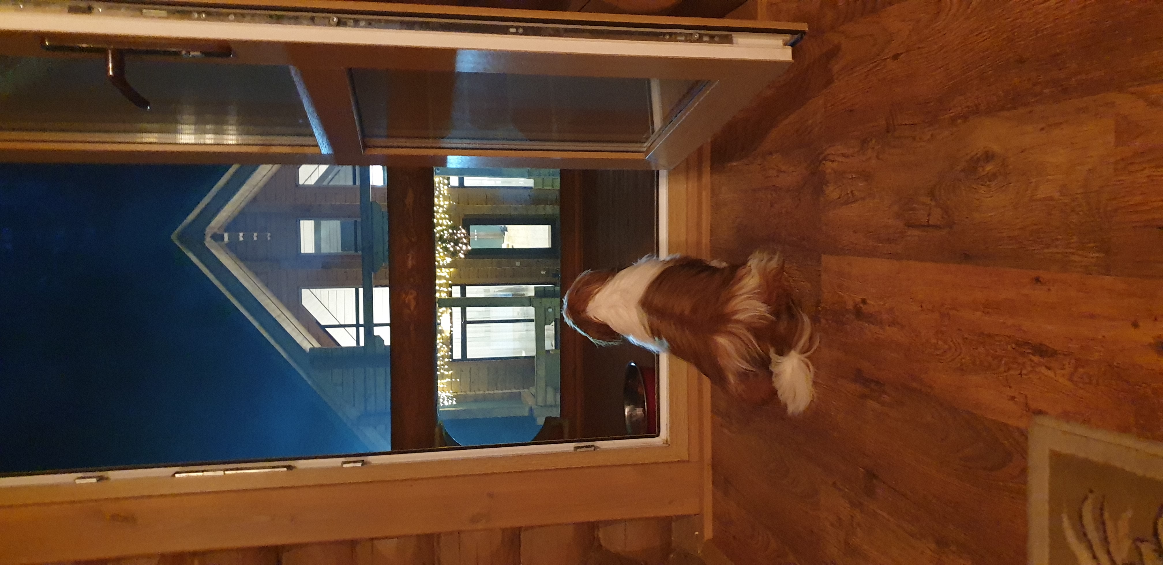 Фото Wish Seliger