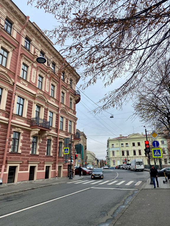 Фото Амарант