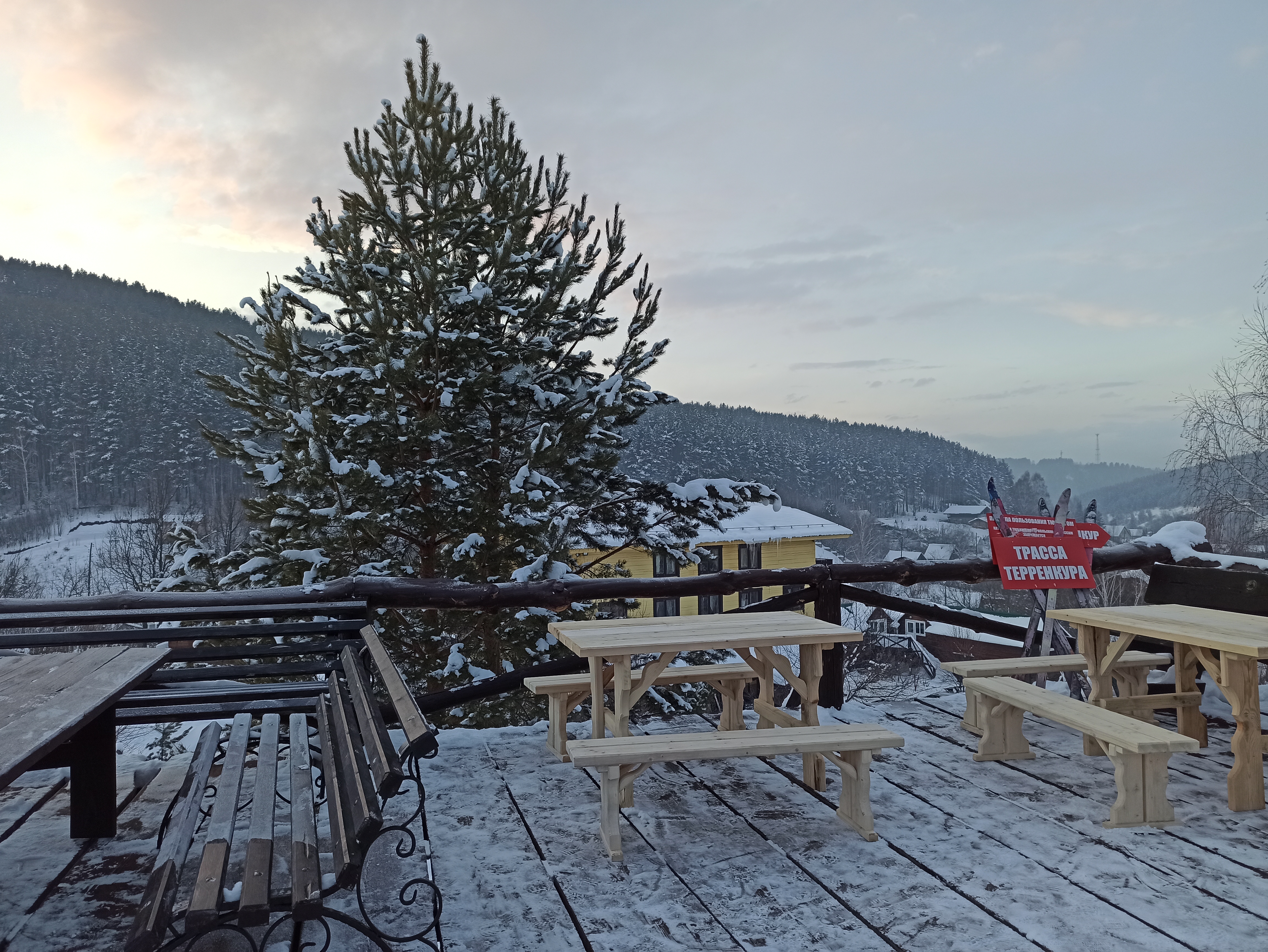 Фото Яковка