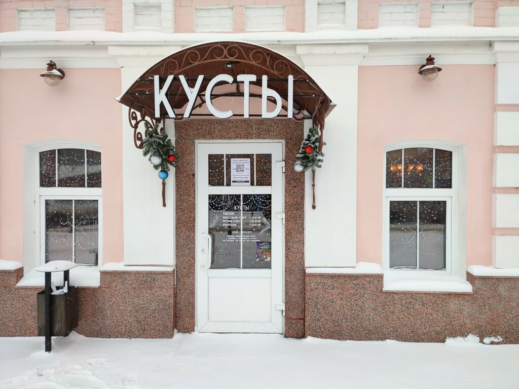 Бар, паб Кусты, Ульяновск, фото