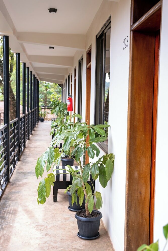 Фото The Explorers Hub