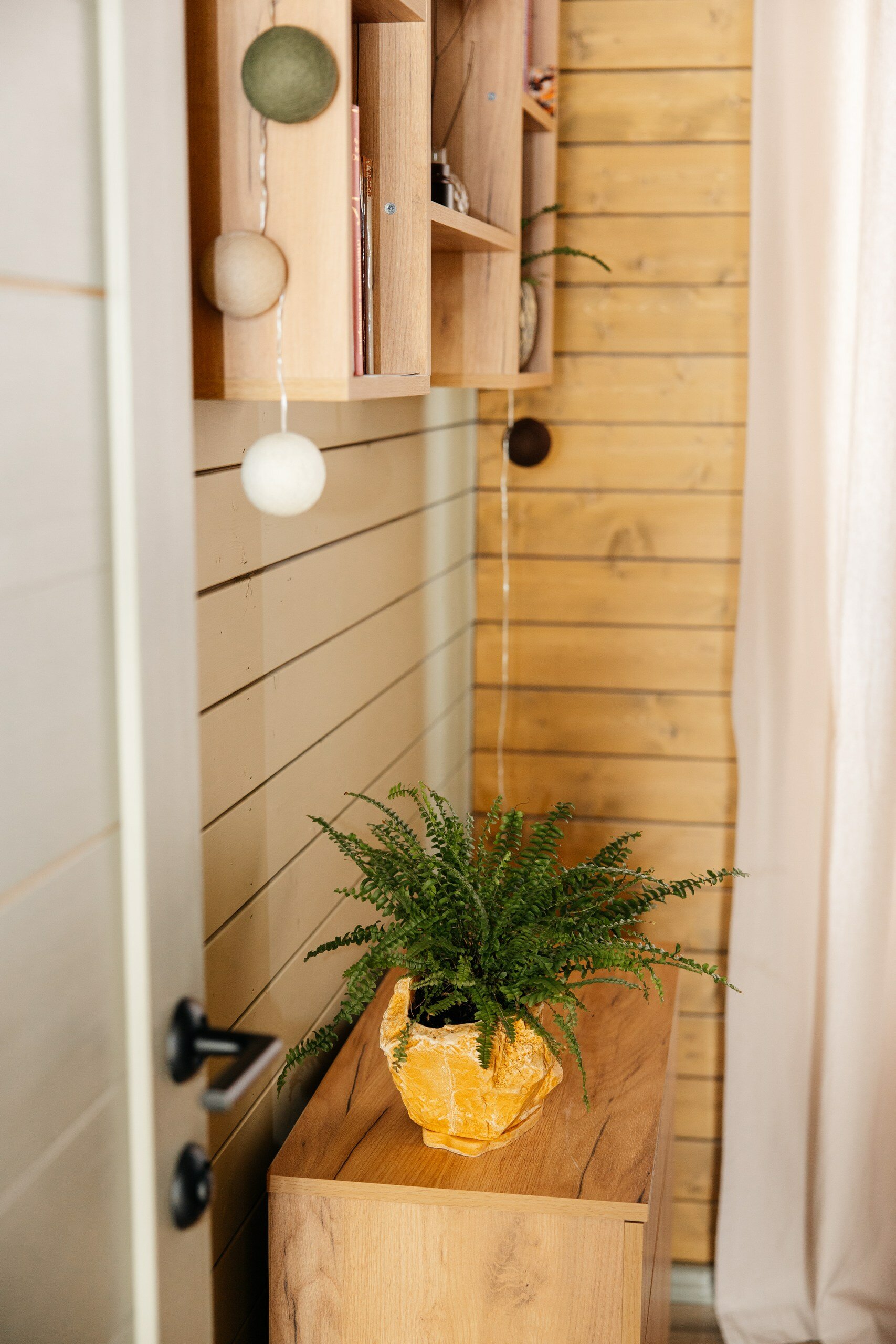 Фото Аврора