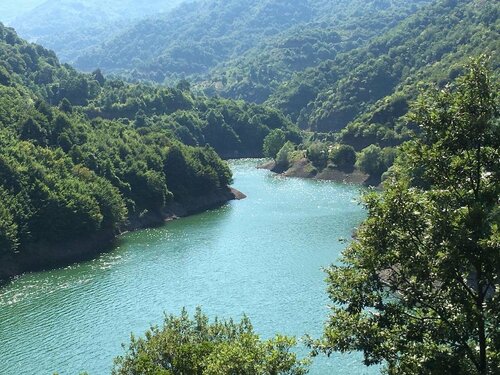 Гостиница Villa Özdilek в Картепе