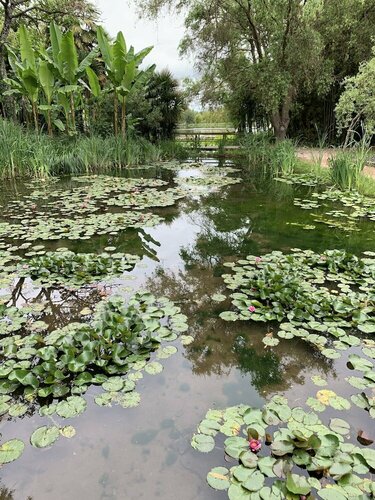 Гостиница Le Clos de la Court d Aron в Ле-Сабле-д'Олоне