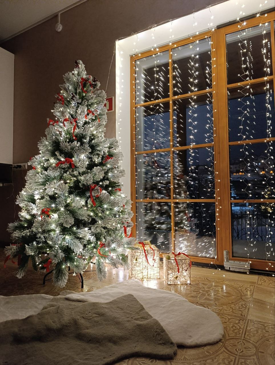 Фото Клевер