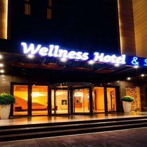 Гостиница Wellness Hotel and SPA