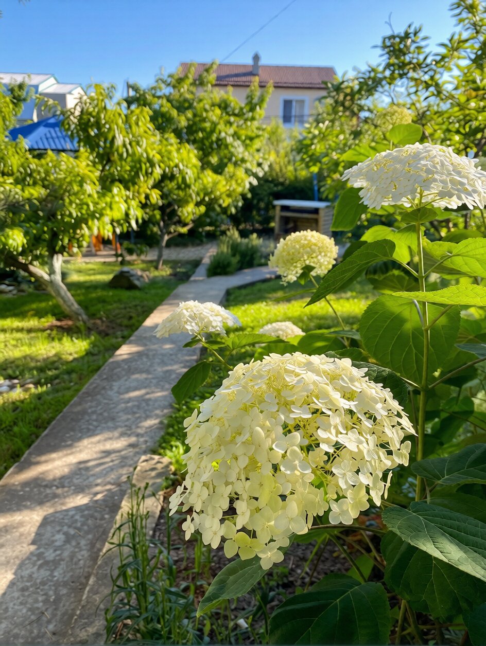 Фото Голубая бухта