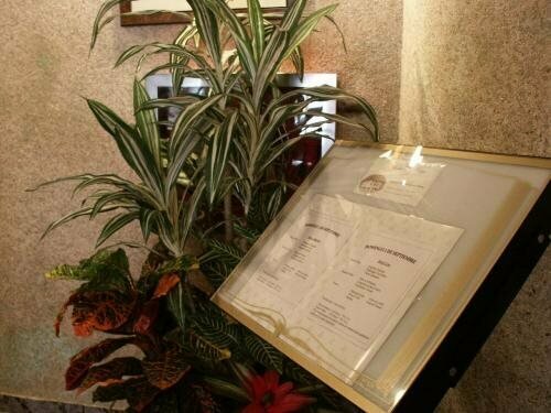 Гостиница Hostal Isla Playa в Нохе