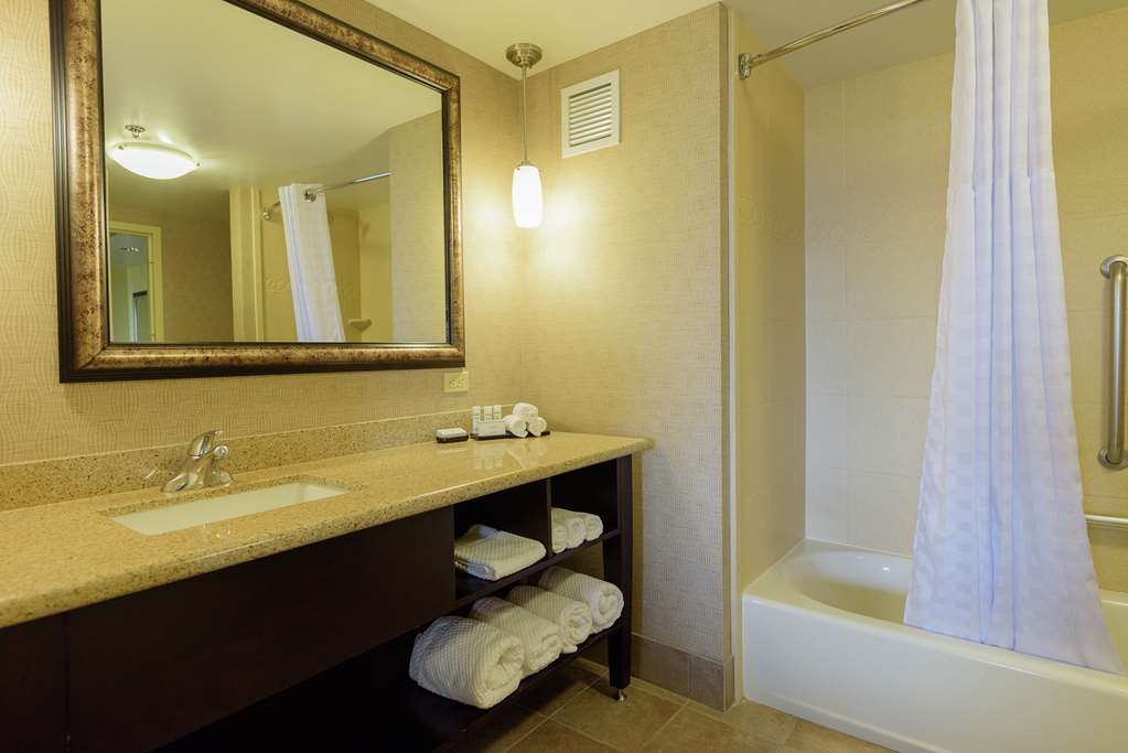 Фото Embassy Suites by Hilton Minneapolis North