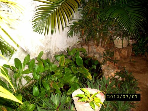 Гостиница Rock Cascade Homestay в Полоннаруве