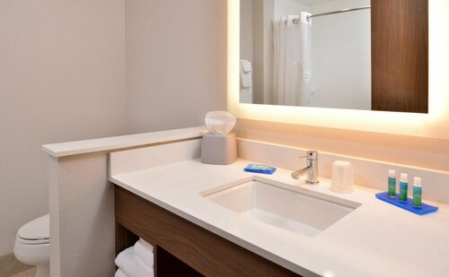 Гостиница Holiday Inn Express Early by Ihg в Браунвуде