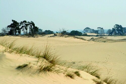 Гостиница Fletcher Hotel Het Witte Huis в Провинции Утрехт