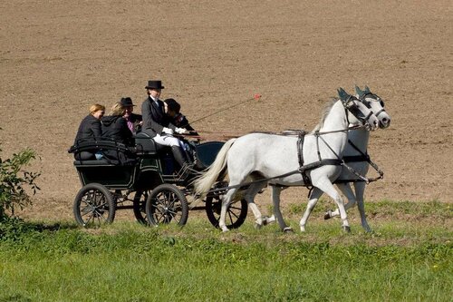 Гостиница Dvůr Krutěnice в Клатови