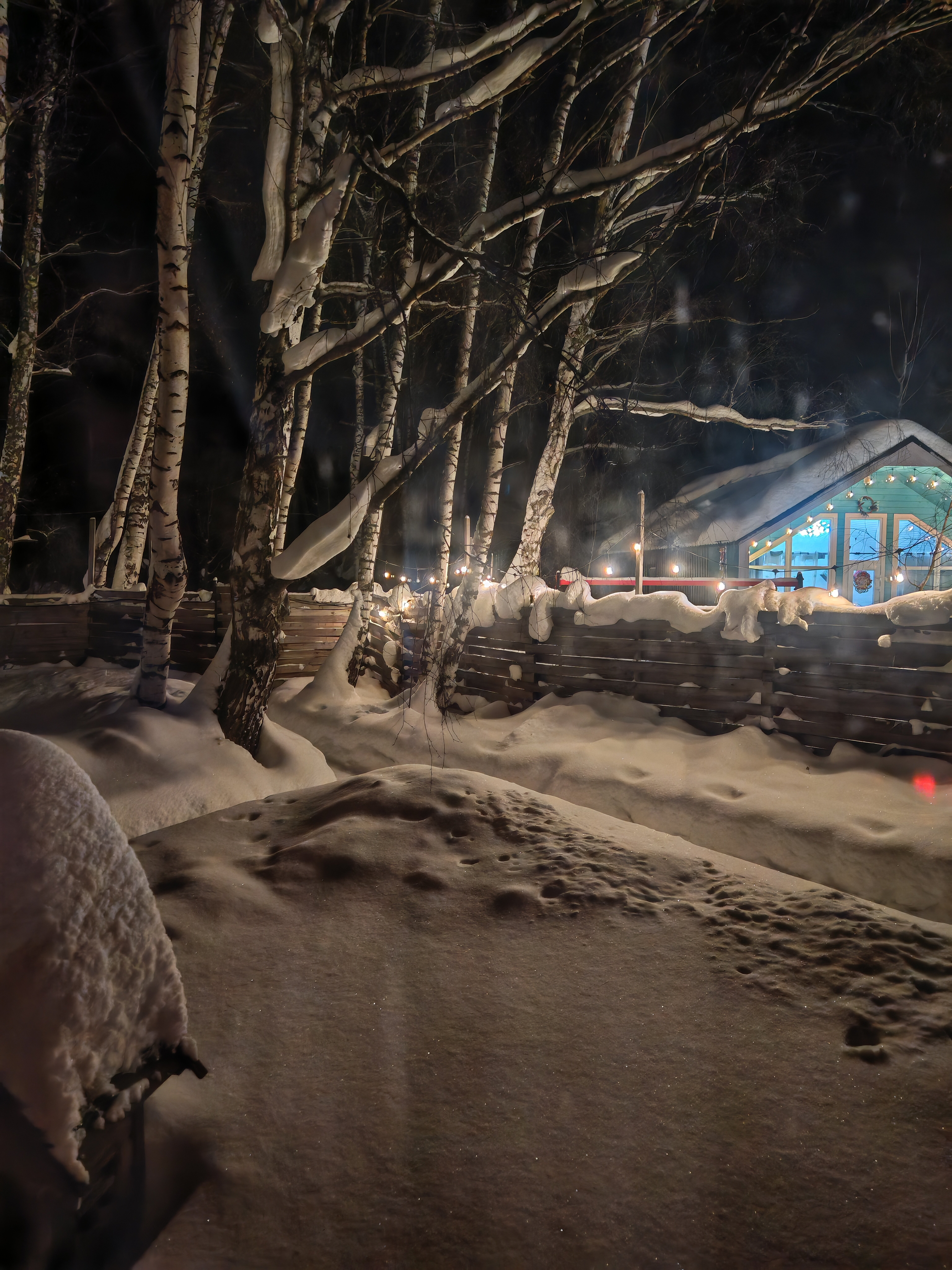 Фото Лесное Патио