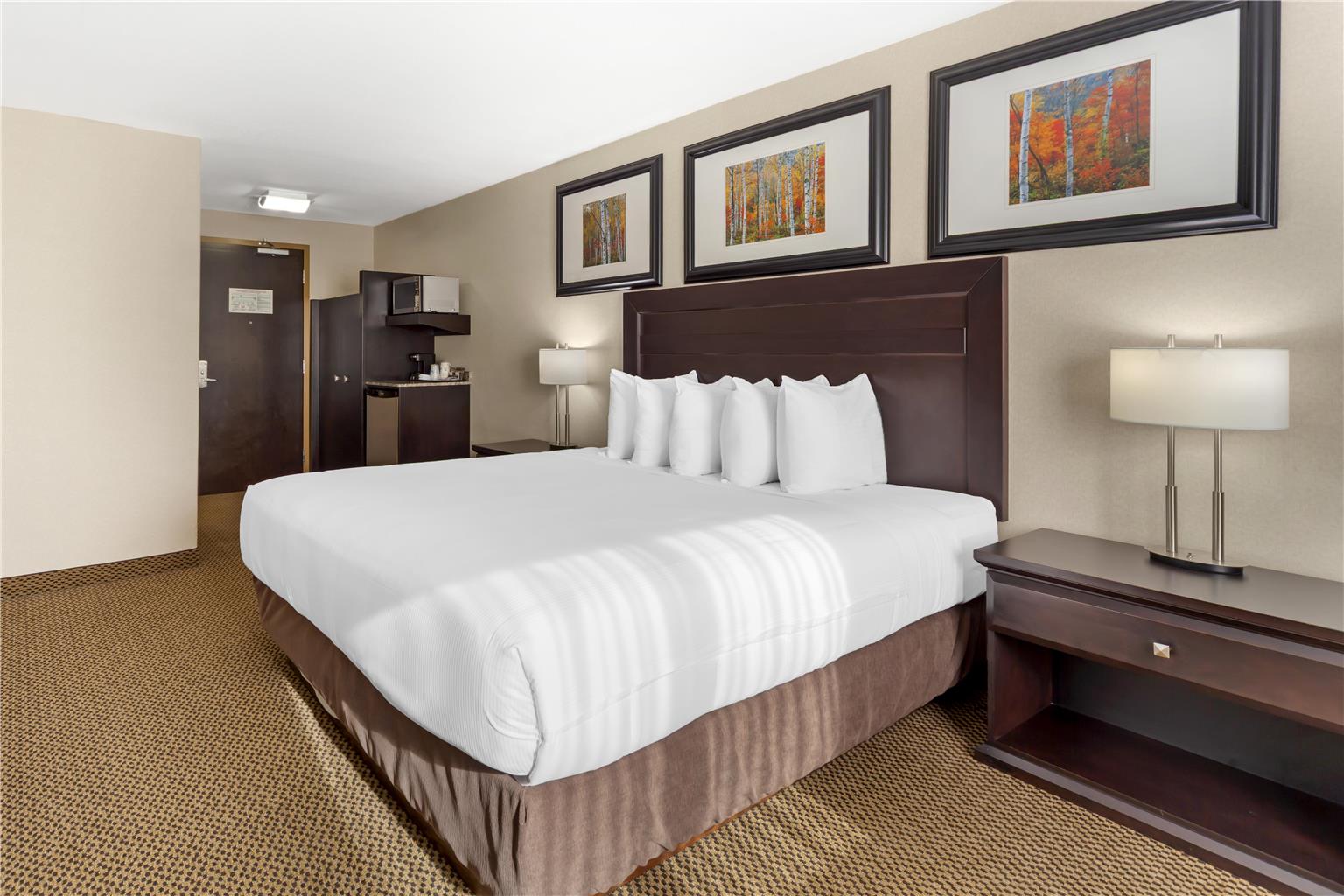 Фото Best Western Bonnyville Inn & Suites