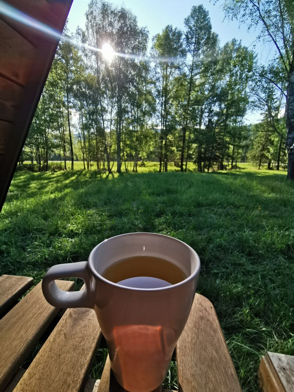 Фото Фазенда