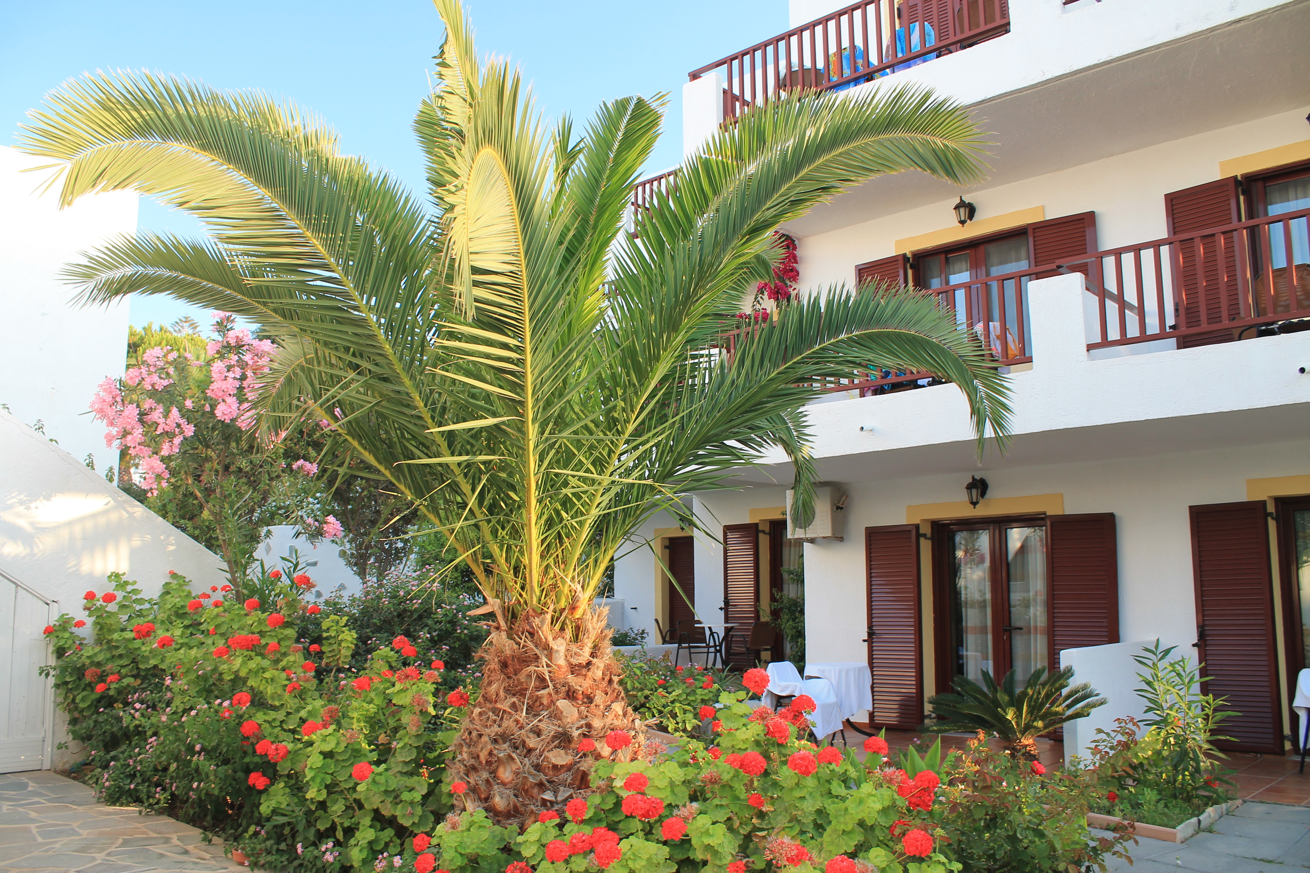 Фото Hersonissos Village