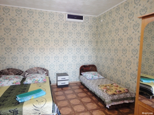 Фото Фортуна