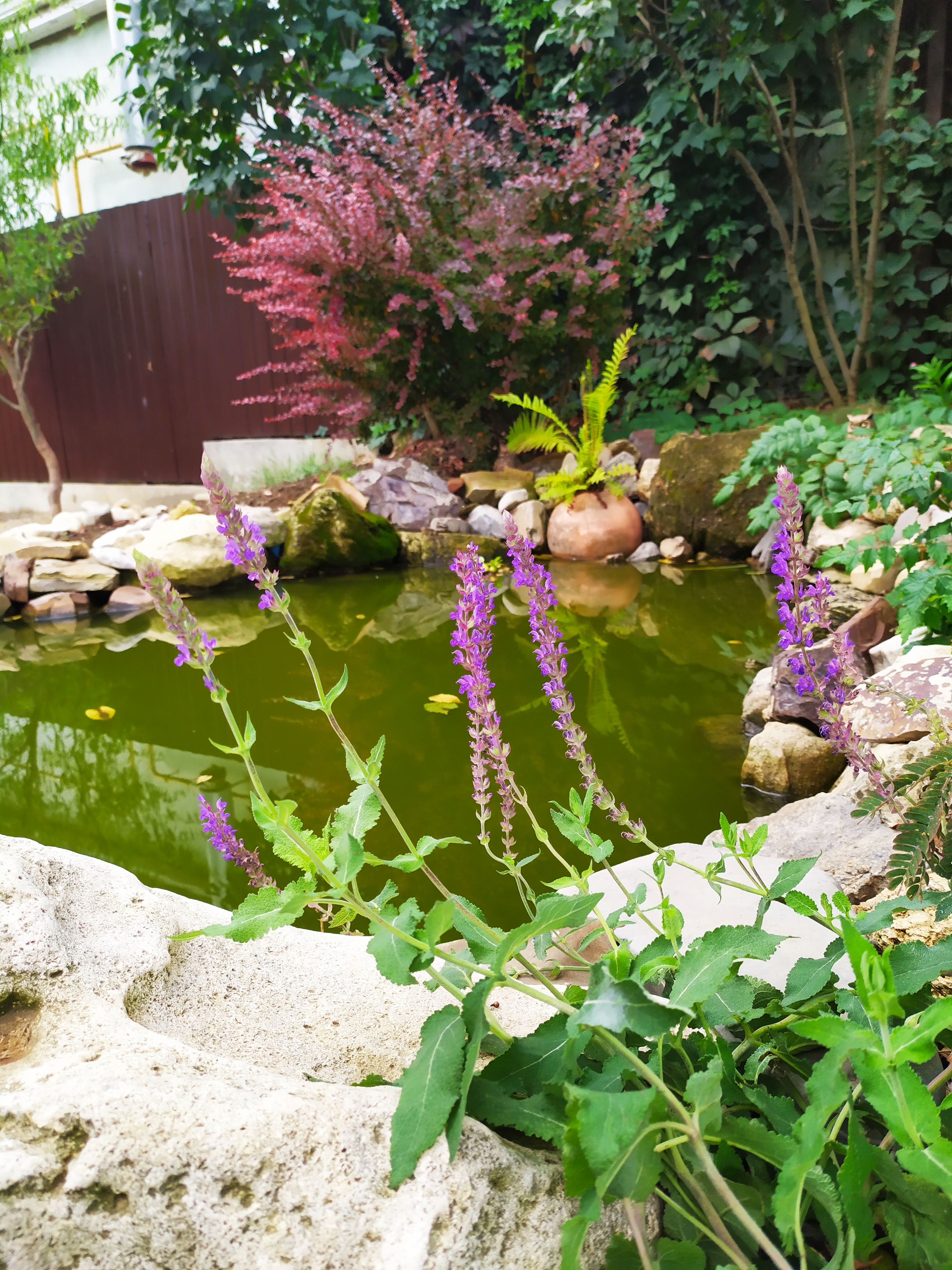 Фото Марианна