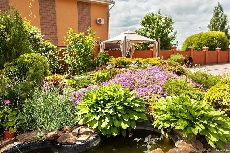 Фото Сосновый бор