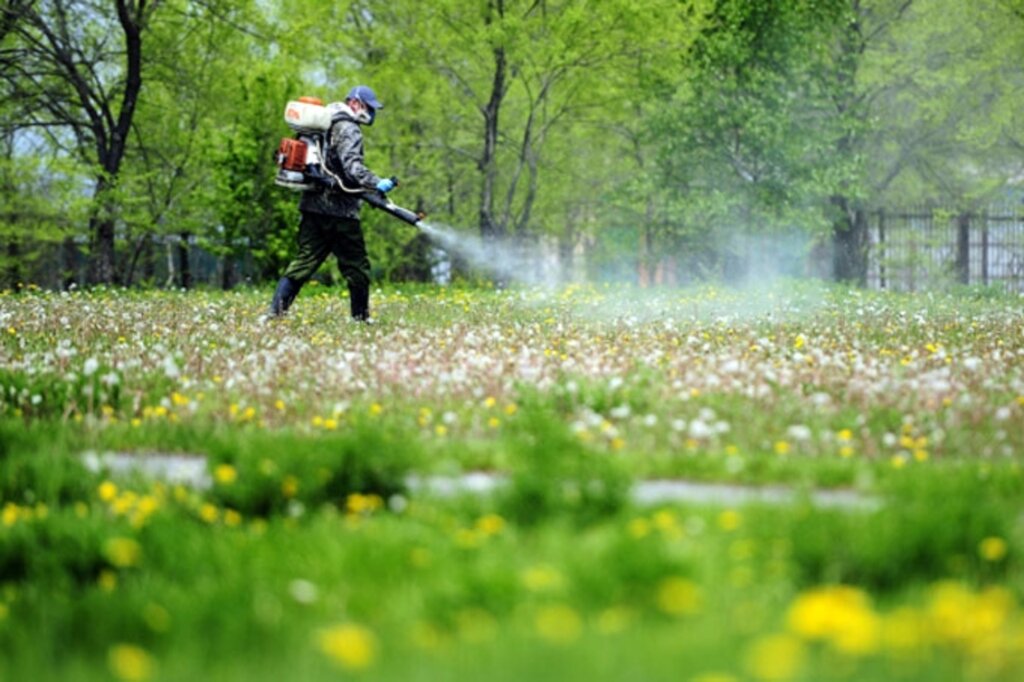Desinfección, desinsectación, desratización Kostromskoj centr dezinfekcii, , foto
