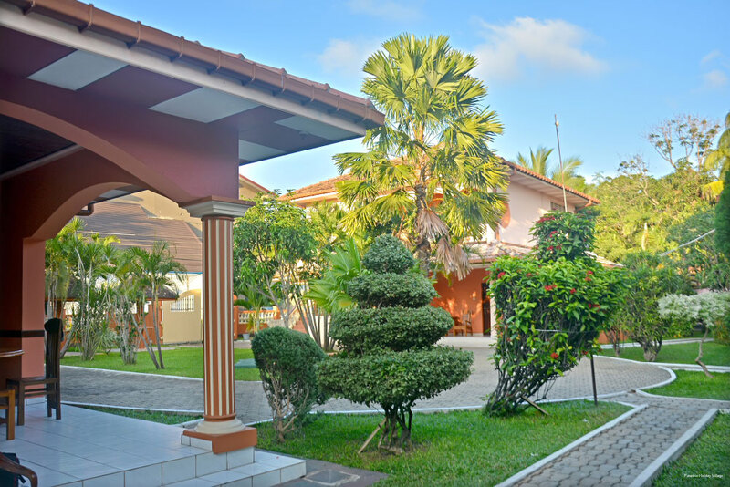 Фото 55021790959