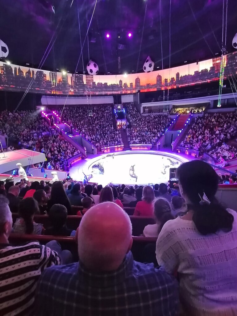 Sirkler Great Moscow State Circus, Moskova, foto