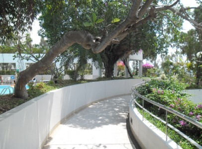 Фото Jomtien Plaza Condotel