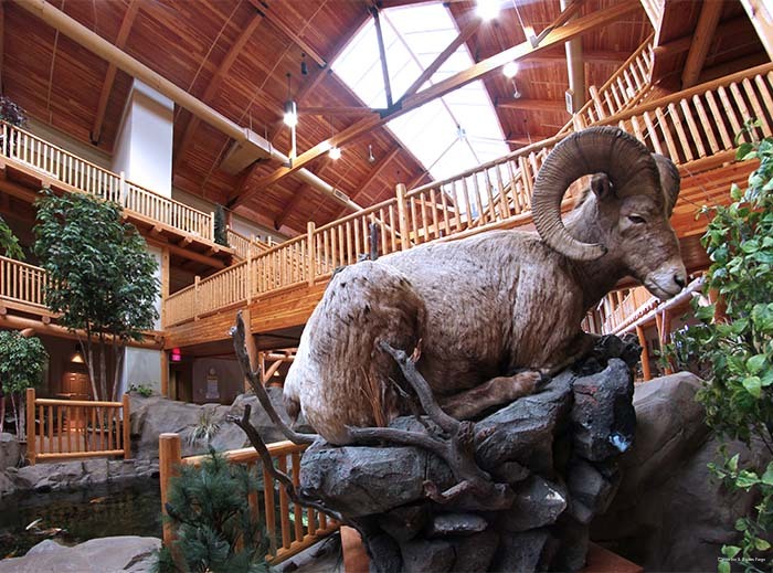 Фото C'mon Inn Fargo