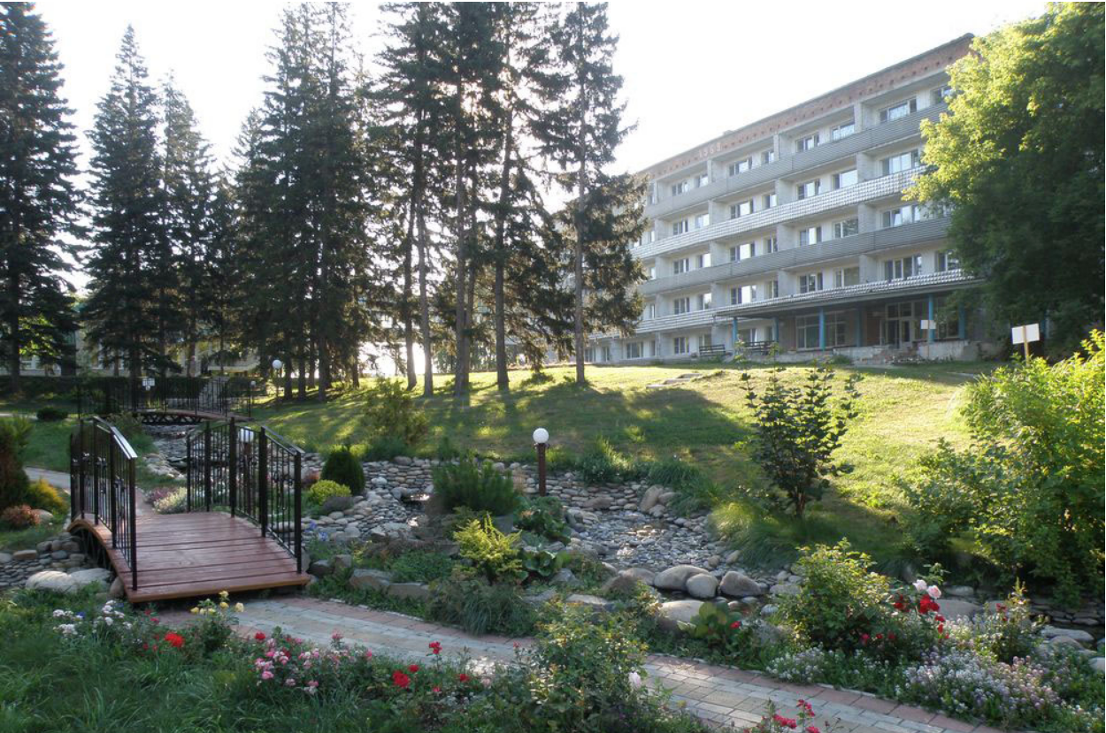 Фото Сосновый бор