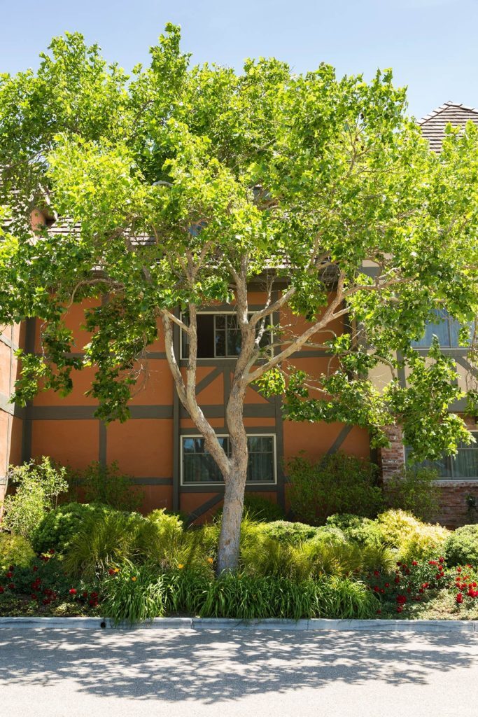 Фото Hotel Corque