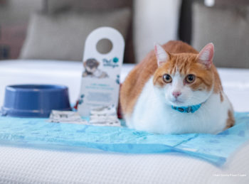 Фото Hotel Deville Prime Cuiabá