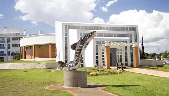 Фото Hotel Maestro Villa Do Lago Toledo