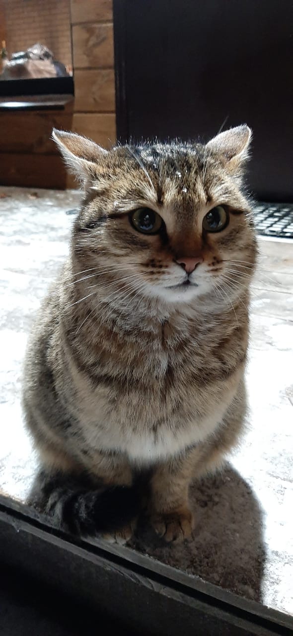 Фото Эко-парк Лазурный