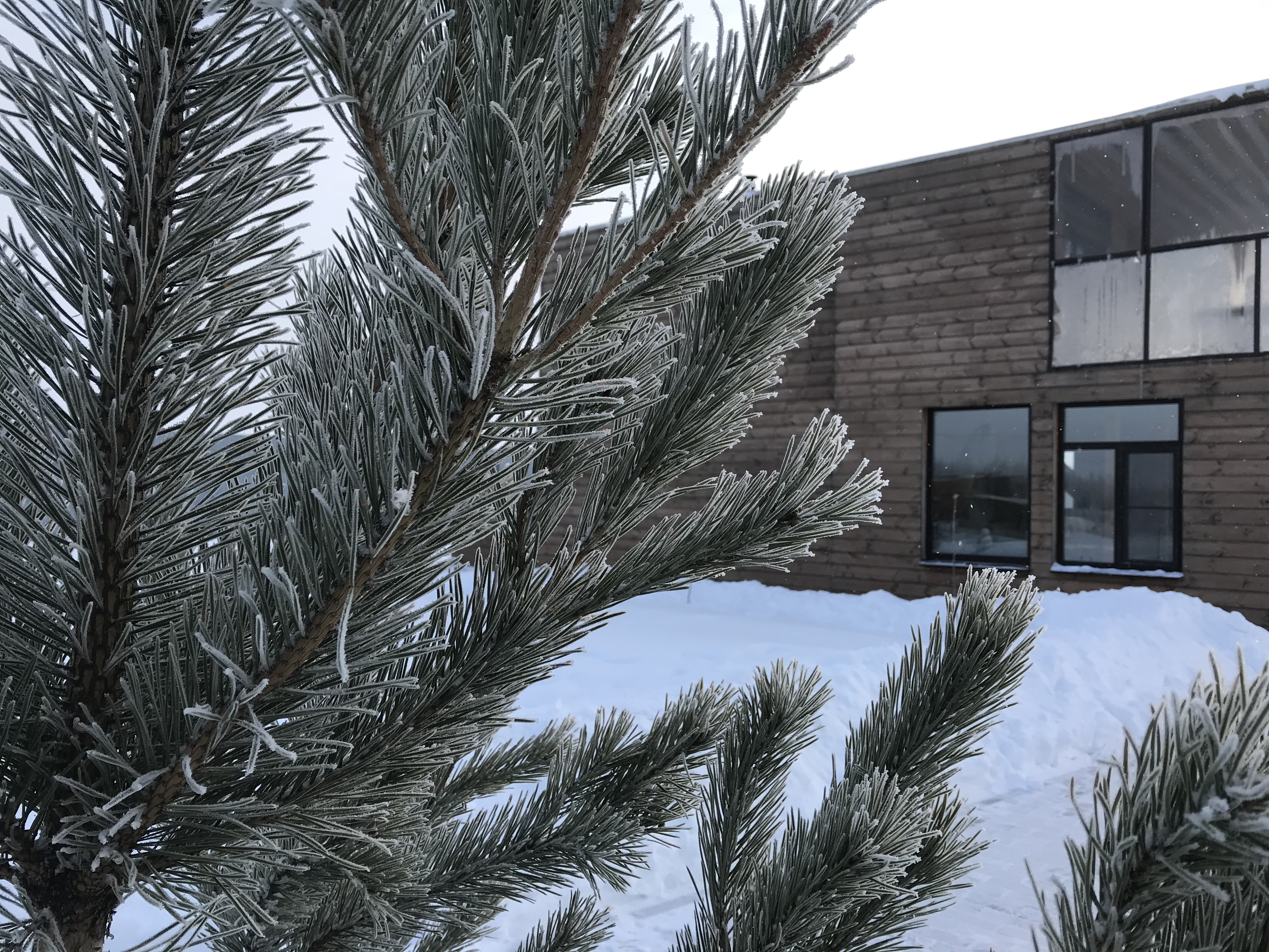 Фото Эко-парк Лазурный