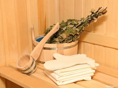 Гостиница Велнесс в Туле