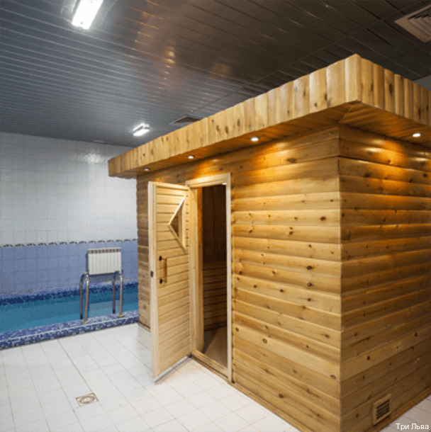 Фото Три льва