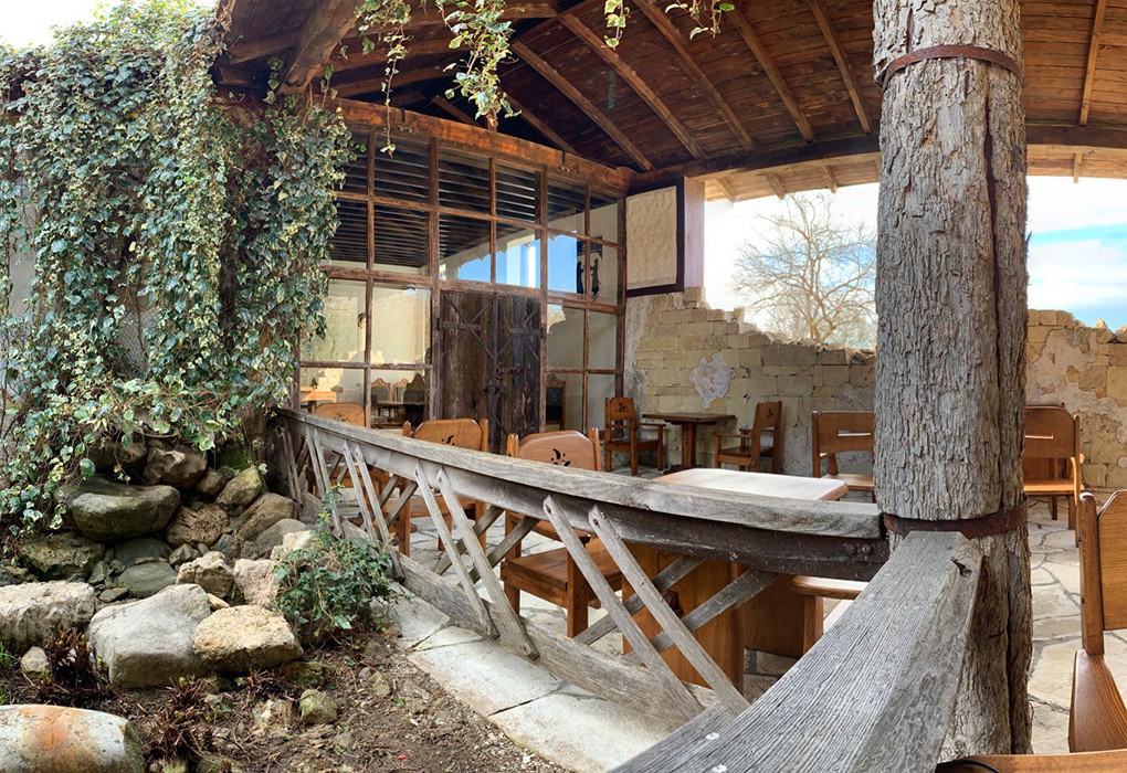 Фото Самшитовая роща