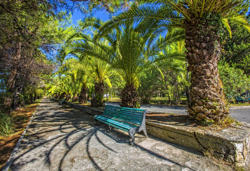 Фото Золотые пески