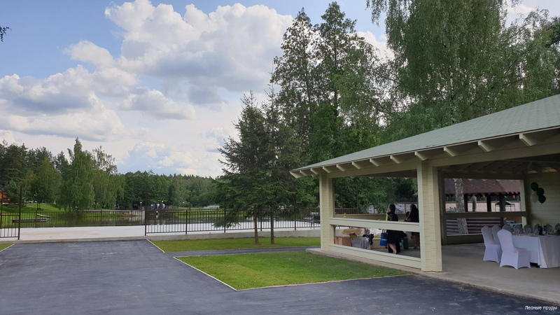 Фото Лесные пруды