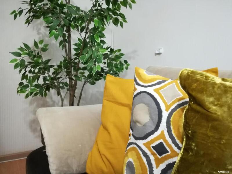 Фото Амосов