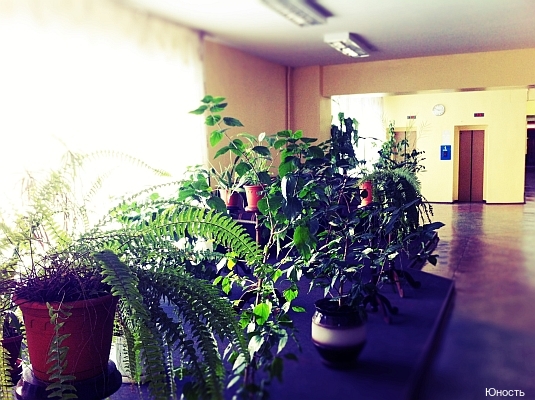 Фото Юность