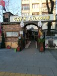 Cafe Limosa (Istanbul, Fatih, Turgut Ozal Millet Avenue) ، مقهى