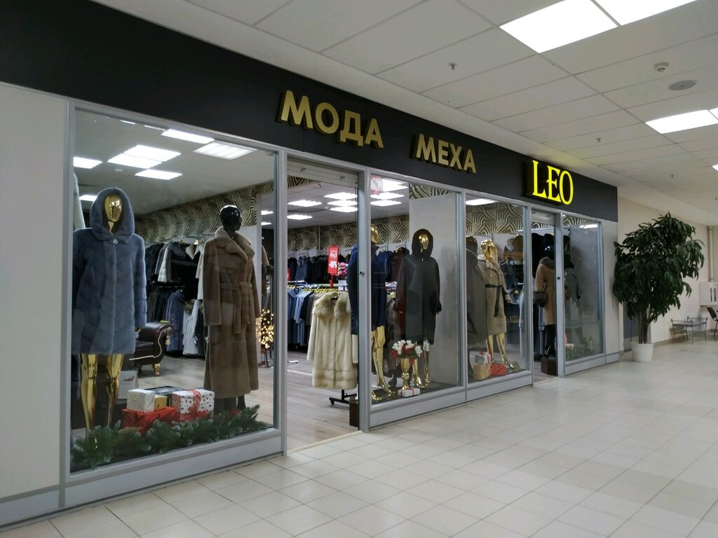 ������� ���� ���������� ������� ���� ���� ����-�������