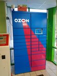 Ozon (Profsoyuznaya ulitsa, 26), point of delivery