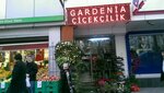 Avcılar Gardenia Çiçekçilik (Стамбул, Авджилар, улица Решит Паша, 35), магазин цветов в Авджиларе