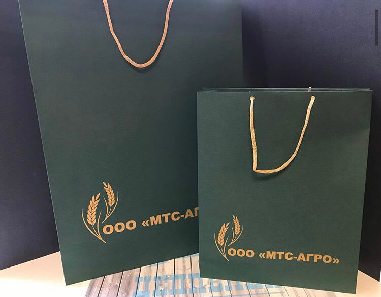 Printing house Zeppelin, Voronezh, photo