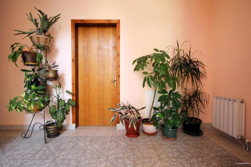 Фото Милана