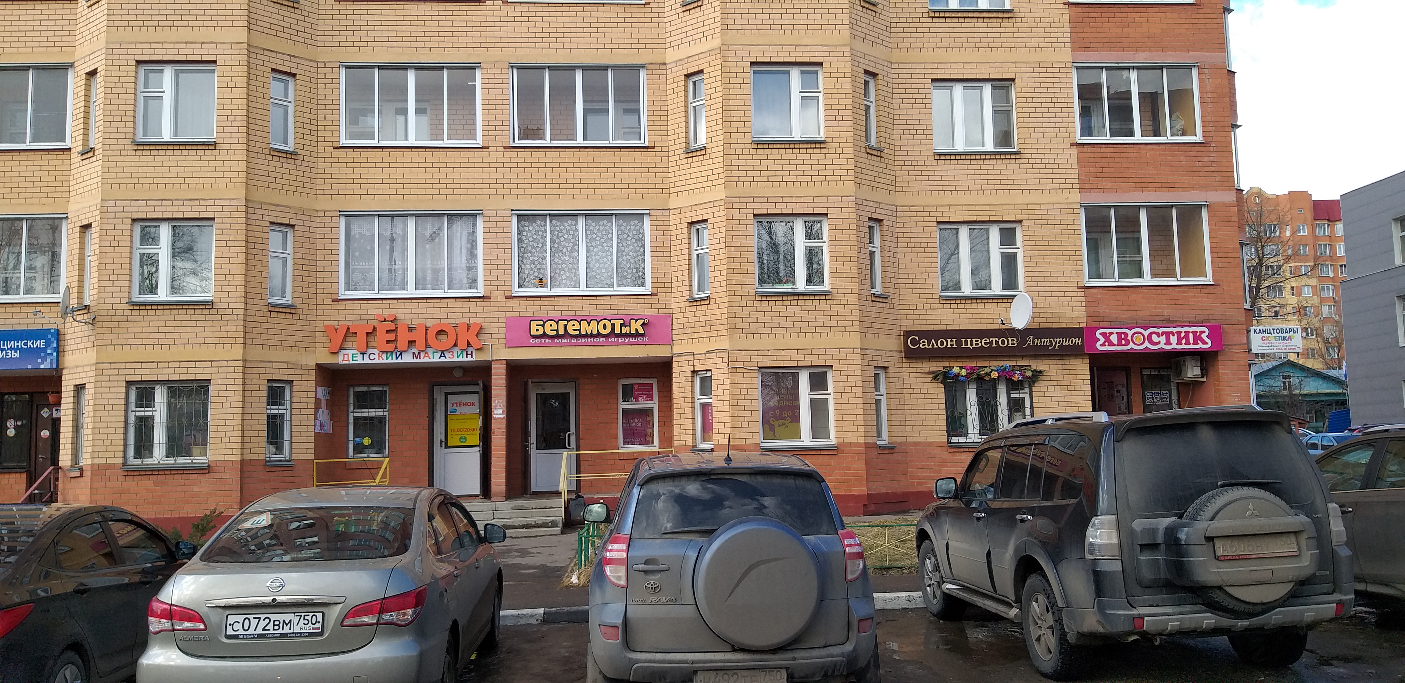 Берта московская область щелково фото Больше не работает: Антурион, магазин цветов, Московская область, Щёлково, Талси