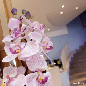 Фото Hotel Cadiz